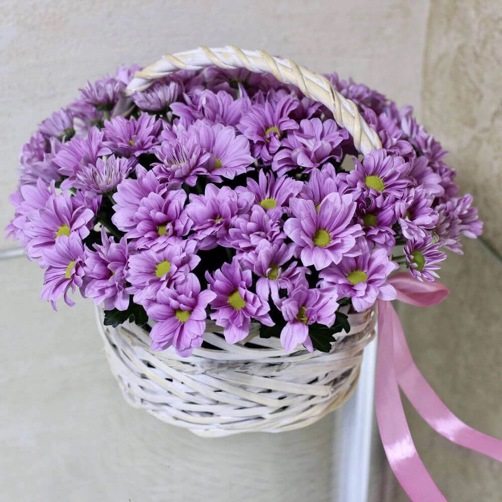15 фиолетовых кустовых ромашковидных хризантем в корзине
