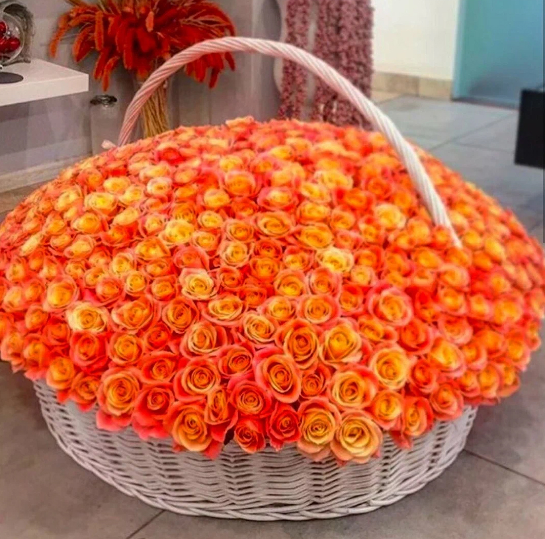 501 оранжевая голландская роза в корзине