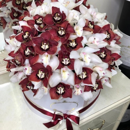 101 белая и бордовая орхидея в коробке