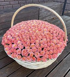 501 розовая голландская роза  в корзине