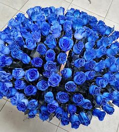 101 синяя роза в корзине