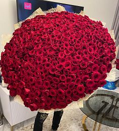 501 бордовая роза в оформлении