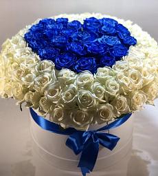 101 роза в коробке. сердце из синих роз на фоне белых 