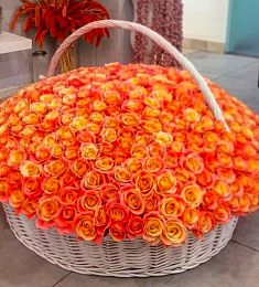 501 оранжевая голландская роза в корзине