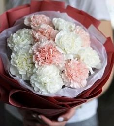 Букет из 11 розовых и белых диантусов