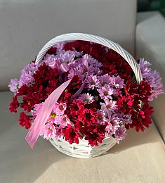 19 красных и розовых  кустовых ромашковидных хризантем в корзине