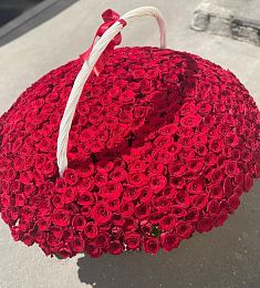 501 красная  голландская роза  в корзине