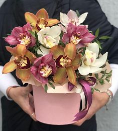 Композиция "Арни" из орхидеи и фисташки в коробке