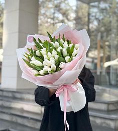 51 голландский белый тюльпан в оформлении