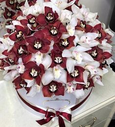 101 белая и бордовая орхидея в коробке